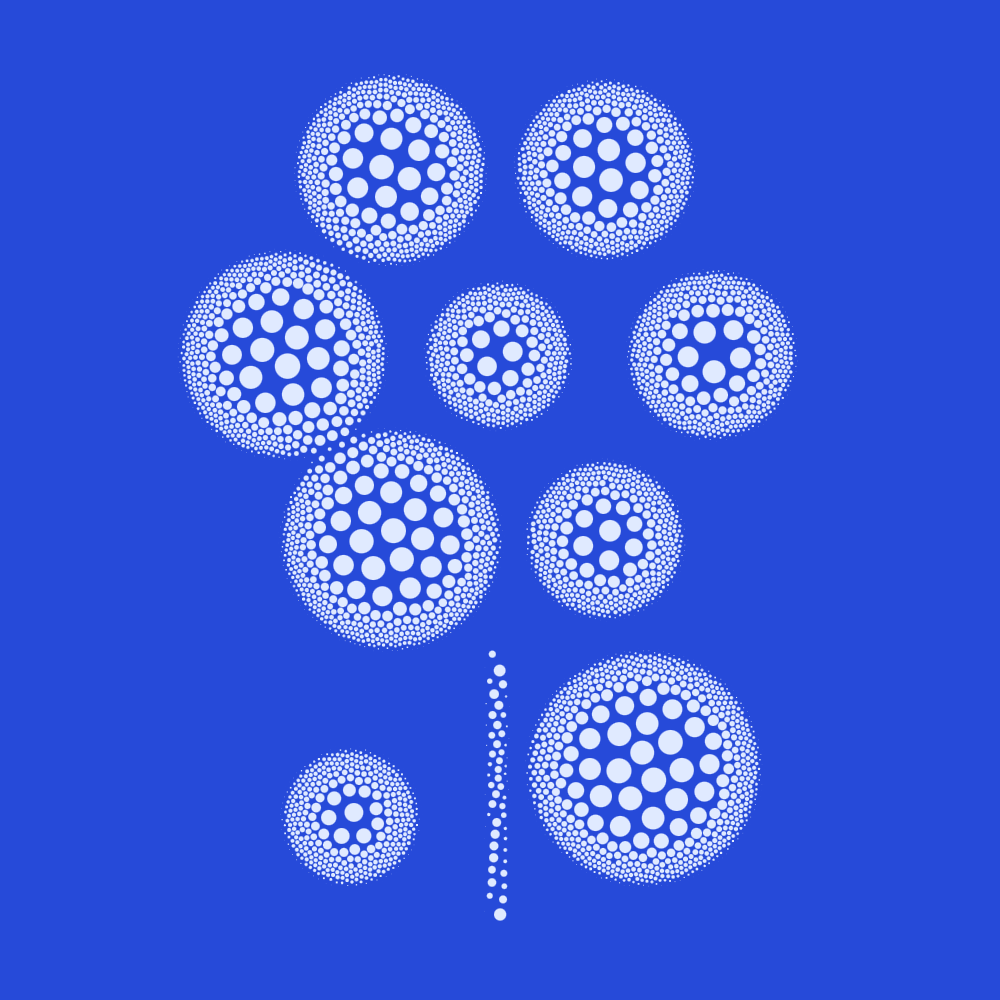 Stippling Points Can Follow Image Detail